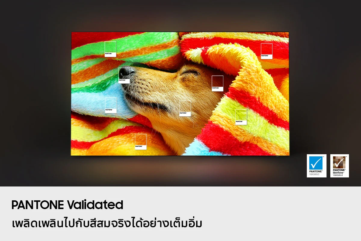 โทรทัศน์ QA65S85FAEXXT 65" รูปที่ 6