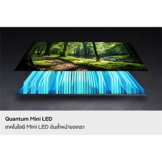 โทรทัศน์ QA55QN70HAKXXT 55" รูปที่ 10
